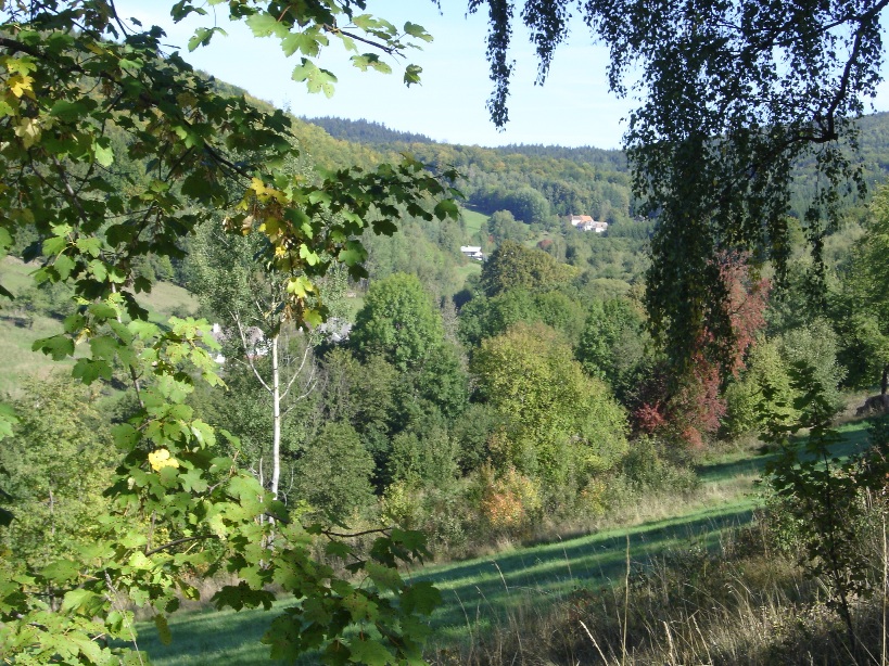 DSC05914.JPG