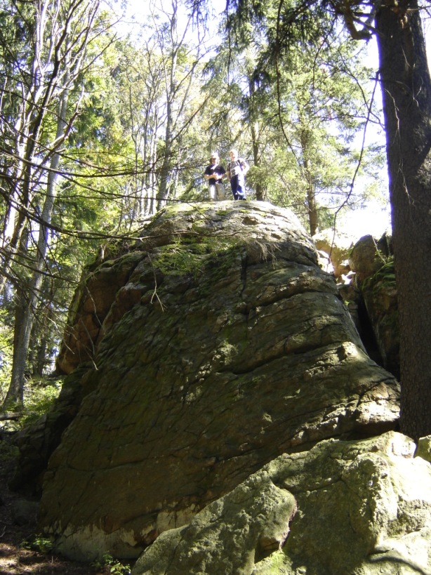 DSC05933.JPG