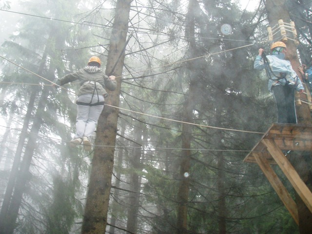 PA290140.jpg