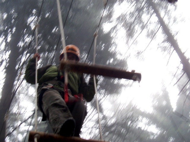 PA290151.jpg