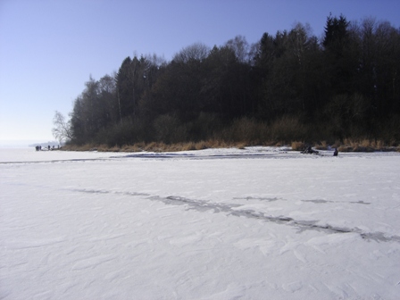 DSC07507.JPG