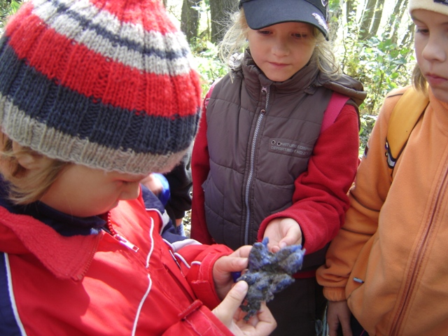 DSC09284.JPG